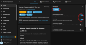 Vista del add on MCP Server iniciado y corriendo